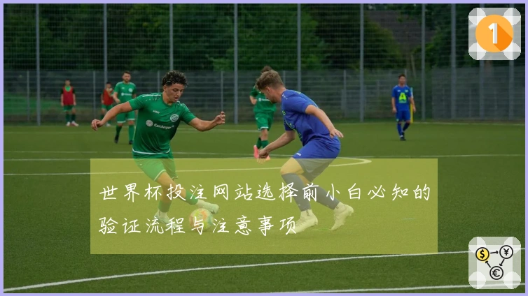 世界杯投注网站选择前小白必知的验证流程与注意事项