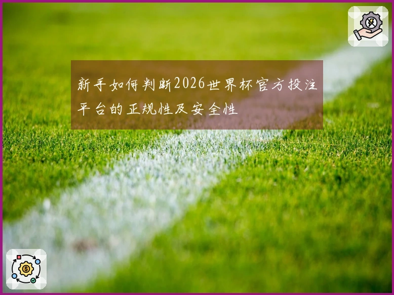 新手如何判断2026世界杯官方投注平台的正规性及安全性