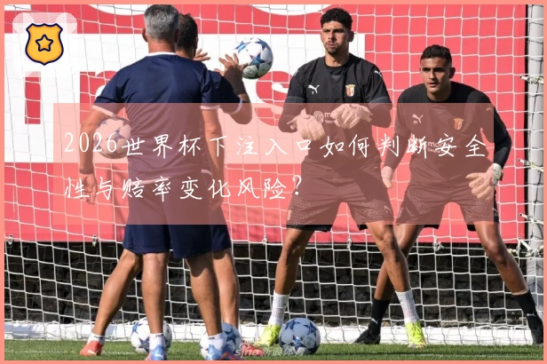 2026世界杯下注入口如何判断安全性与赔率变化风险？