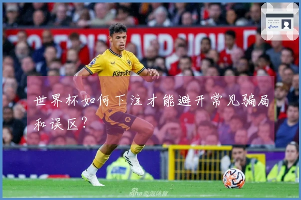 世界杯如何下注才能避开常见骗局和误区？