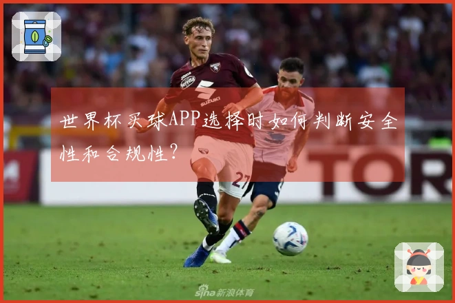 世界杯买球APP选择时如何判断安全性和合规性？