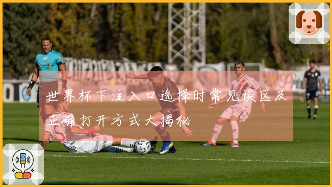 世界杯下注入口选择时常见误区及正确打开方式大揭秘