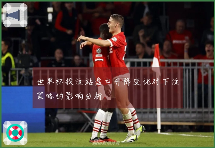 世界杯投注站盘口升降变化对下注策略的影响分析