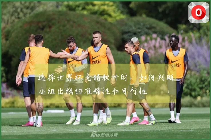 选择世界杯竞猜软件时，如何判断小组出线的准确性和可行性