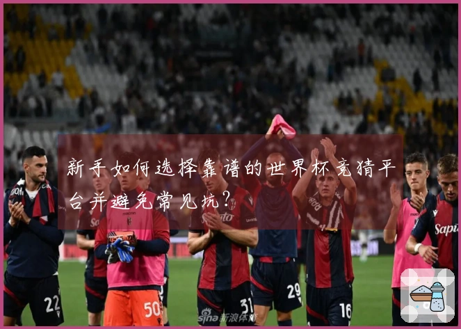 新手如何选择靠谱的世界杯竞猜平台并避免常见坑？