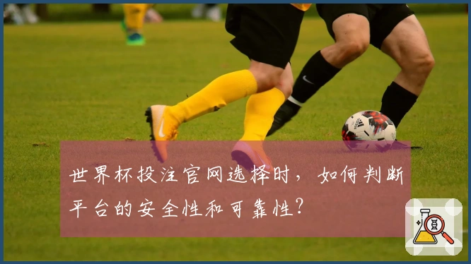 世界杯投注官网选择时，如何判断平台的安全性和可靠性？