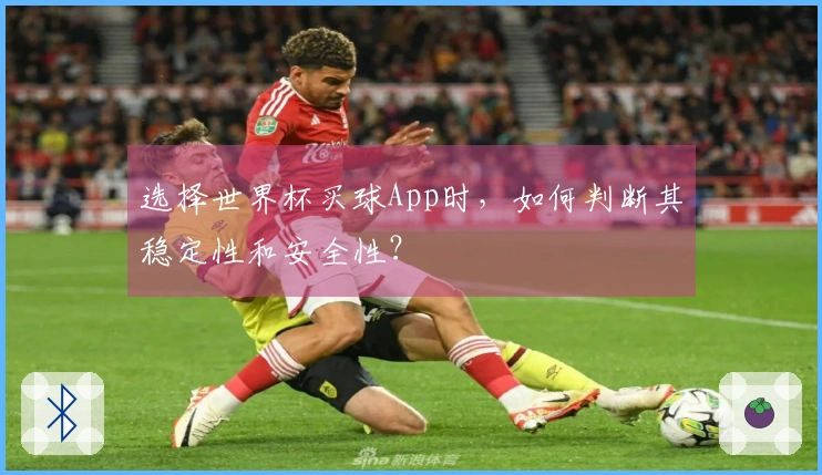 选择世界杯买球App时，如何判断其稳定性和安全性？