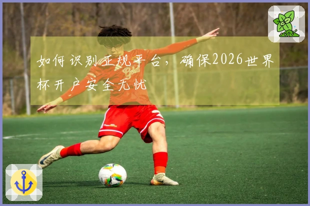 如何识别正规平台，确保2026世界杯开户安全无忧