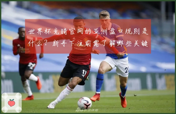 世界杯竞猜官网的亚洲盘口规则是什么？新手下注前需了解哪些关键点？