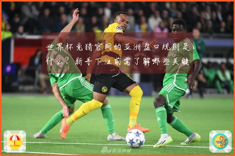 世界杯竞猜官网的亚洲盘口规则是什么？新手下注前需了解哪些关键点？